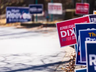 Dozens of election campaign yard signs planted in grass in Suwanee, Georgia