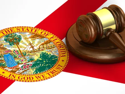 Gavel on the Floridan flag 