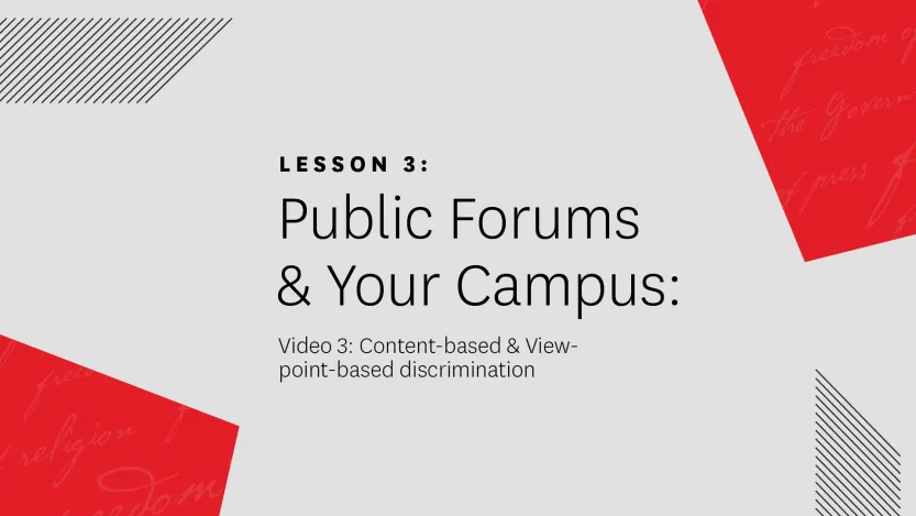 Video 3: Content-based and Viewpoint-based discrimination
